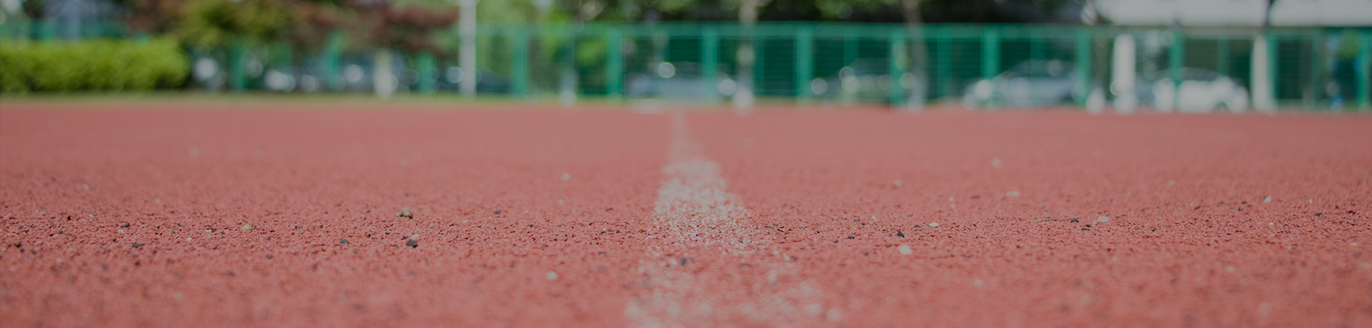 人才服務(wù) 從校園開始